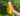 330ml Clear Plastic Bottles & Lids