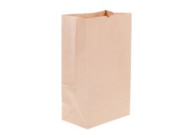 Brown Paper Grab Bag (small)