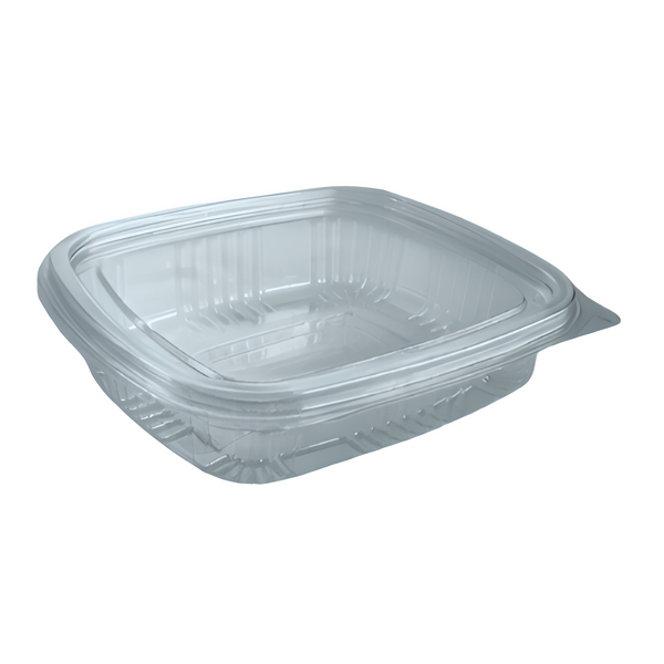 250ml Hinged Plastic Container Economy