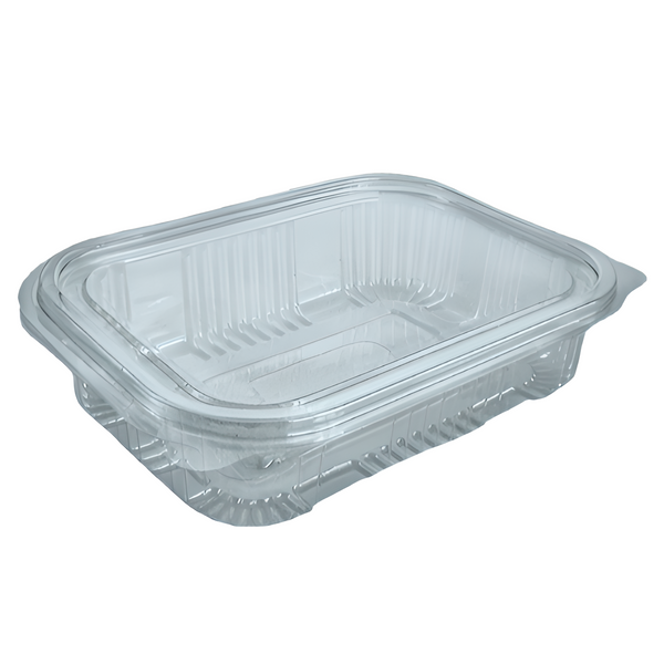 600ml Hinged Plastic Container Economy